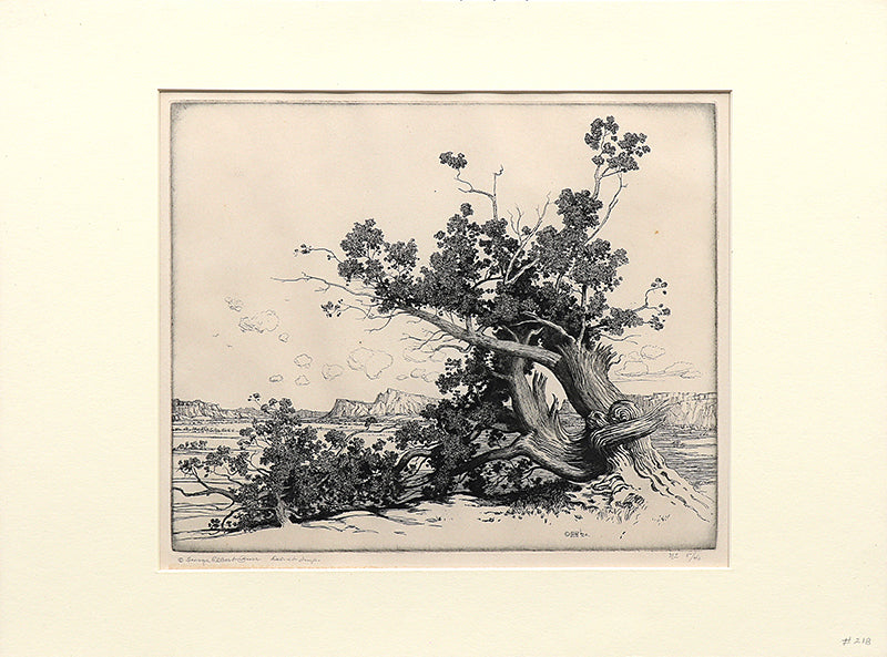 Old Cedars, New Mexico (Desert Set), Print, circa 1921