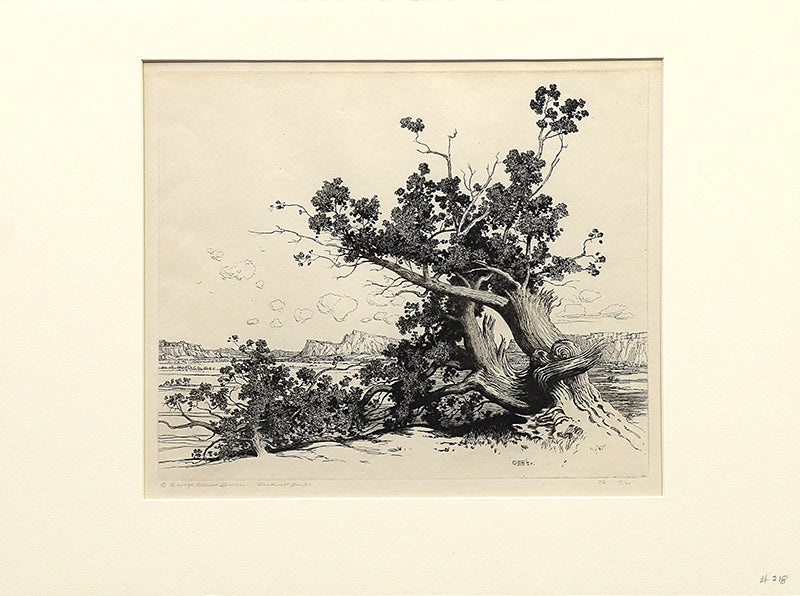 Old Cedars, New Mexico (Desert Set), Print, circa 1921