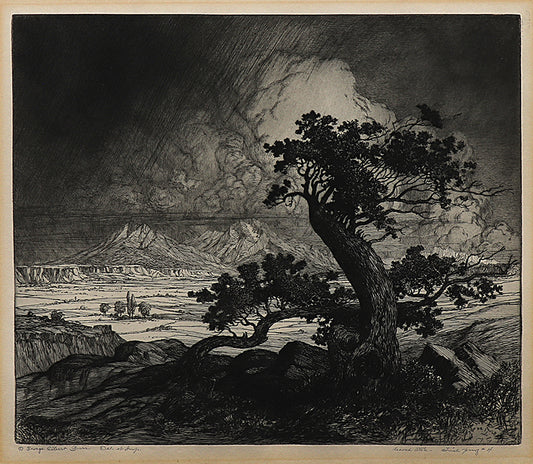 George Elbert Burr (1859-1939) artwork for sale. Old Cedars and Spanish Peaks (Colorado), Print, circa 1922, Denver, Colorado, Art Gallery)