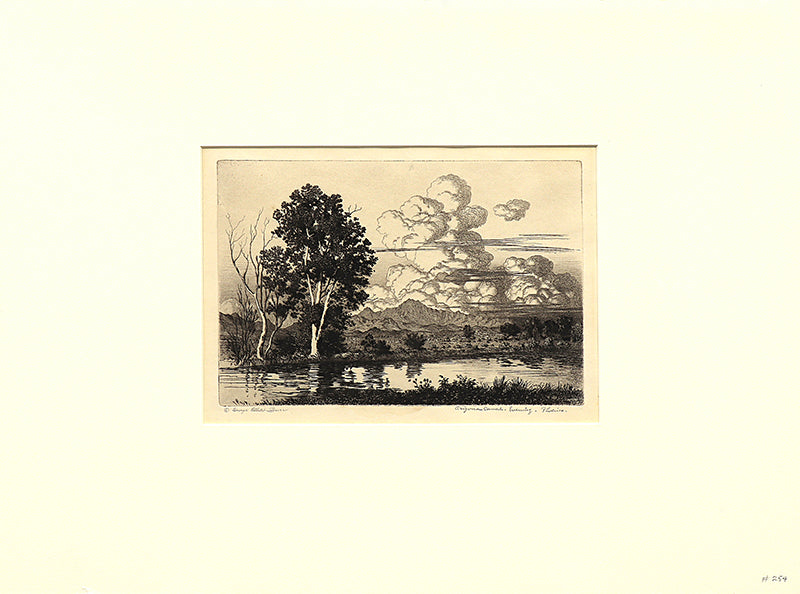 Arizona Canal Evening, Phoenix (Landscape of the Arizona Canal), Print, circa 1925