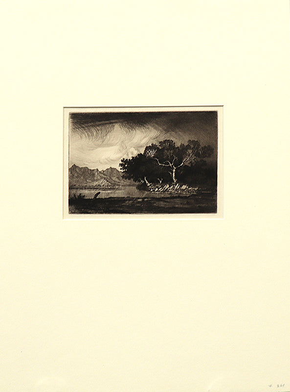 Gila River and Estrella Mountains, Arizona (Landscape with River and Mountains), Print, circa 1925