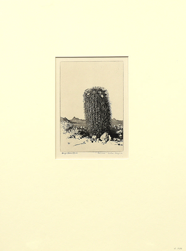 Barrel Cactus, Arizona (Desert Set), Print, circa 1921