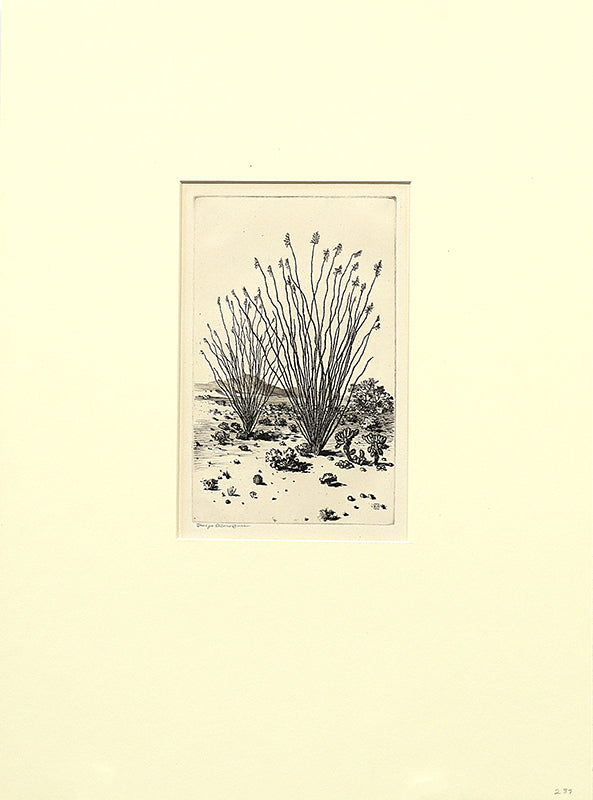 Ocotillo, Arizona (Desert Landscape with Cacti), Print, circa 1925