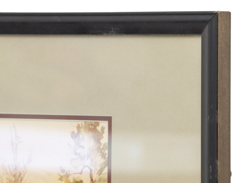 Blue Spruce, Colorado Springs (Trees in a Colorado Mountain Landscape), Painting, 1942