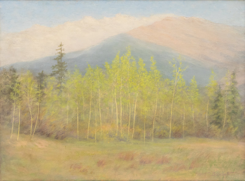 Albert Bancroft (1890-1972) artwork for sale. Aspen, Craig Meadows in Spring (Colorado), Painting, circa 1920, Denver, Colorado, Art Gallery)