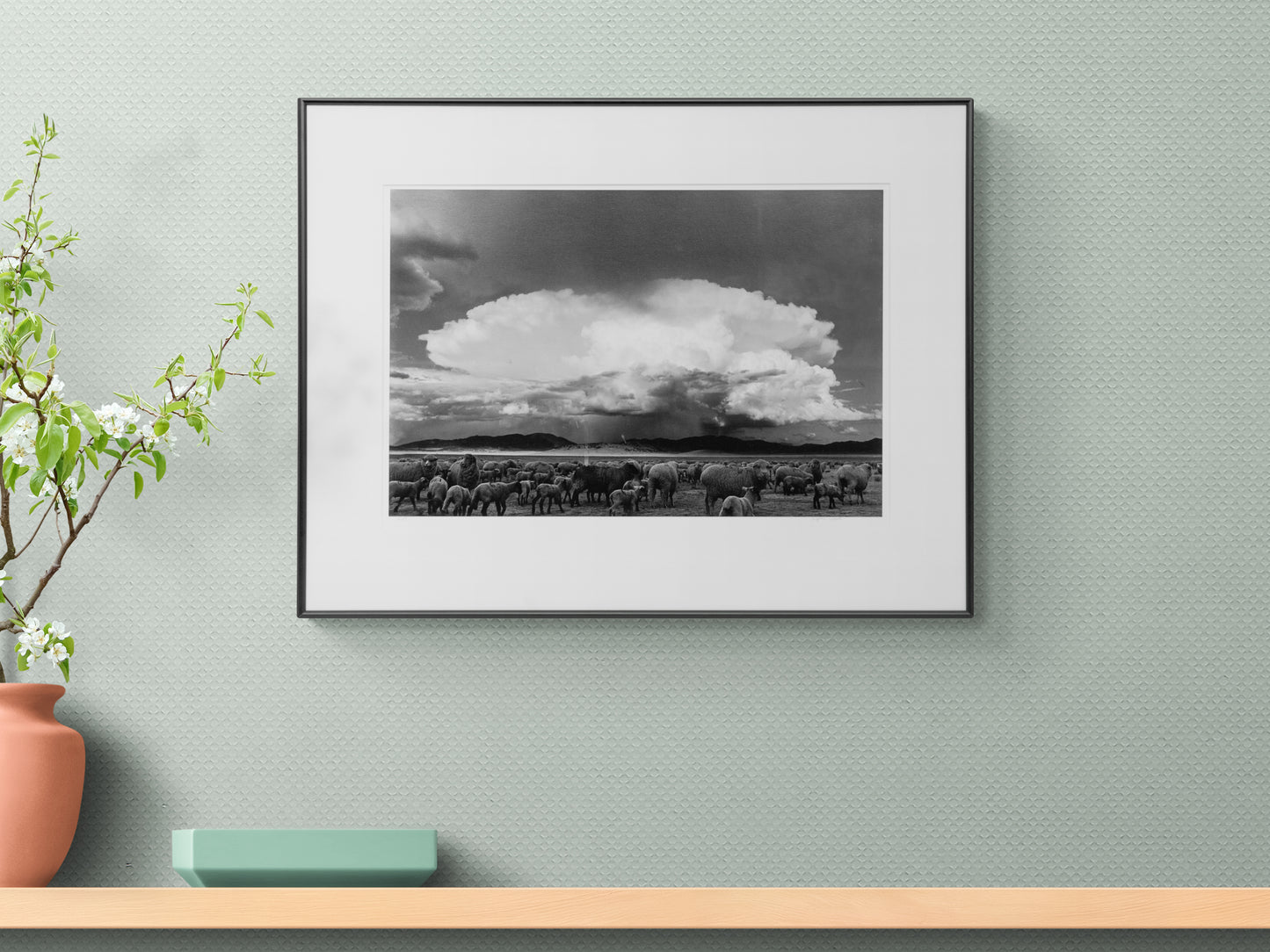 Sheep, Storm, South Park, Colorado (Sheep grazing on a Colorado plain), Photograph, 1967