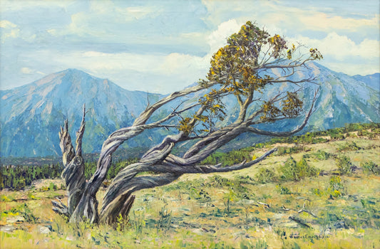 Battered by Wind and Storms, Sangre de Cristos (Colorado), Painting, circa 1980