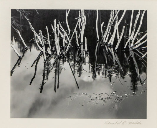 Harold Malde, Untitled (Reflecting Reeds and Sky in a Pond), photograph on paper Photograph