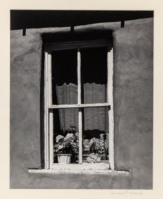 Golden, New Mexico (Window with Flowers), Photograph