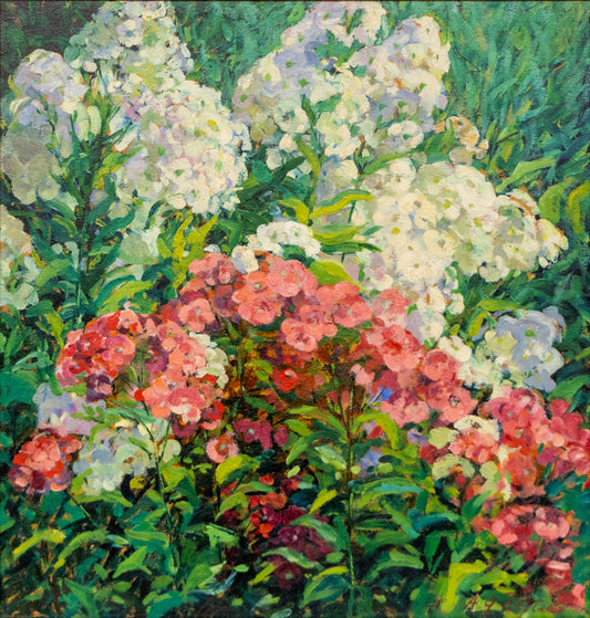 No. 2 White and Pink Phlox (Flowers in a Garden), Painting, circa 1920