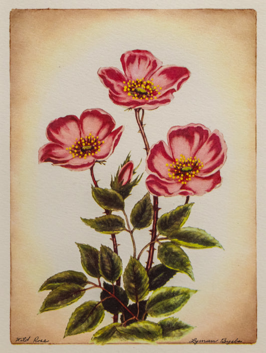 Wild Rose, Print
