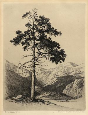 George Elbert Burr, Moraine Park, Estes Park, Colorado , Winter, etching, circa 1916, engraving, fine art, for sale, denver, gallery, colorado, antique, buy, purchase