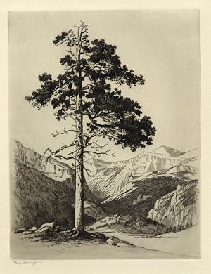 George Elbert Burr, Moraine Park, Estes Park, Colorado , Mountain Moods, etching, circa 1916, engraving, fine art, for sale, denver, gallery, colorado, antique, buy, purchase