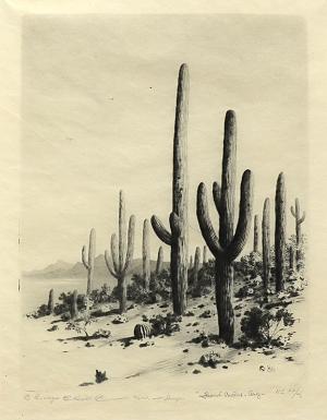 George Elbert Burr, Giant Cactus, Arizona  , Desert Set, etching, circa 1921, engraving, fine art, for sale, denver, gallery, colorado, antique, buy, purchase
