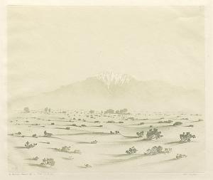 George Elbert Burr, From Indio, California , Desert Set, etching, circa 1921, engraving, fine art, for sale, denver, gallery, colorado, antique, buy, purchase