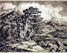Sven Birger Sandzen, "Twisted Pines, Edition of 100", lithograph, c. 1950 painting for sale