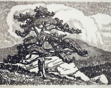 sandzén, Sven Birger Sandzen, "Lone Pine, edition of 50", lithograph, 1919
