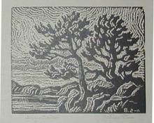 Sven Birger Sandzen, "Veteran Pines, 2 edition printed", woodcut, 1928 print for sale