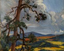 Joseph Imhof, "Ponderosa Pine and Yellow Aspen in Distance (US Hill, East and North of Taos, NM)", oil on canvas, c. 1945
