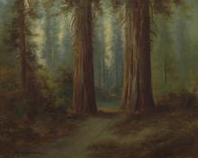 Charles Henry Harmon, "Untitled (Path Through the Sequoia)", oil on canvas