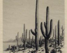 George Elbert Burr, "Giant Cactus, Arizona; edition of 40", etching, c. 1921 painting for sale