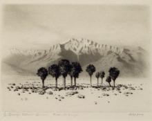 George Elbert Burr, "Oasis of Seven Palms, California, Trial Proof (edition of 40)", etching, c. 1921 painting for sale