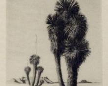 George Elbert Burr, "Yuccas, Arizona (edition of 40)", etching, c. 1921