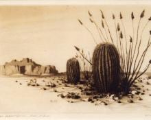 George Elbert Burr, "Barrel Cactus, Arizona, No. 1, 13/40 (from the Desert Set)", etching, c. 1921 painting for sale