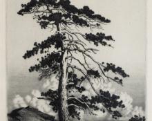 George Elbert Burr, "Sentinel Pine, Colorado; edition of 200", etching, c. 1915 painting for sale