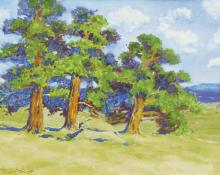 Charles Partridge Adams, "Estes Park Pines - Estes Park, Colo.", mixed media, c. 1915 painting for sale