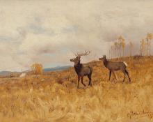 Charles Partridge Adams, "Untitled (Two Elk, Colorado)", oil, 1897
