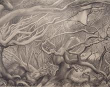 Ross Eugene Braught, "Northern Wind, Marina Cay", graphite, 1942