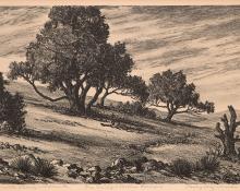 Percy Hagerman, "Cedars with Stump", lithograph, 1944