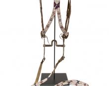Bridle/Head Stall, Sioux, first quarter twentieth century Native American Indian antique vintage art for sale purchase auction consign denver colorado art gallery museum