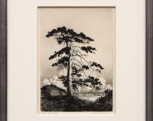 George Elbert Burr, "Sentinel Pine", etching, circa  1910 painting fine art for sale purchase buy sell auction consign denver colorado art gallery museum