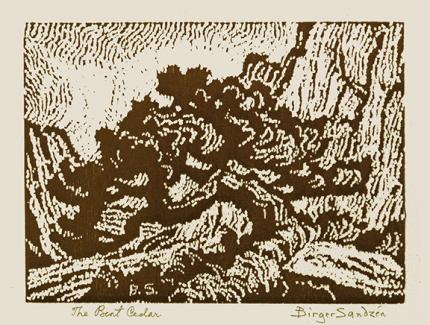 Sven Birger Sandzen, "The Bent Cedar, one edition printed", woodcut, 1920