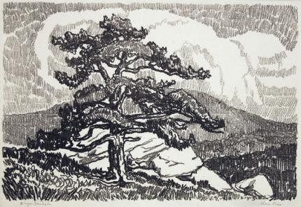 sandzén, Sven Birger Sandzen, "Lone Pine, edition of 50", lithograph, 1919