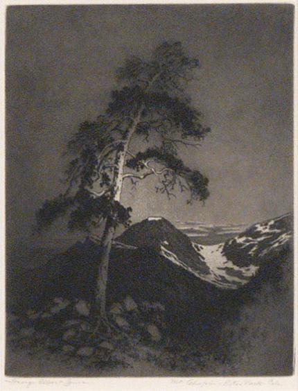 George Elbert Burr, "Mt. Chapin - Estes Park", etching, c. 1920 painting for sale