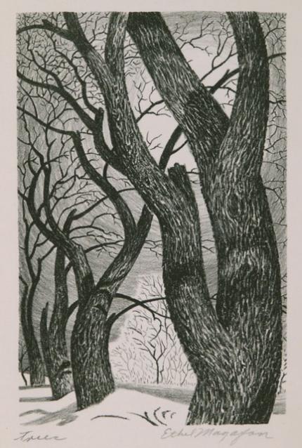 Ethel Magafan, "Trees", lithograph, c. 1937