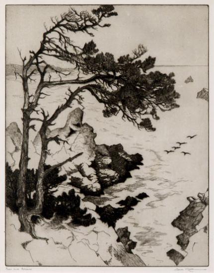 Alice (Gene) Geneva Glasier Kloss, "Pines and Pelicans, edition of 75", etching, 1938