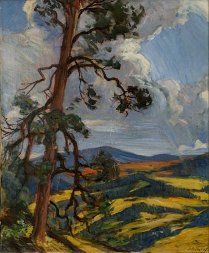 Joseph Imhof, "Ponderosa Pine and Yellow Aspen in Distance (US Hill, East and North of Taos, NM)", oil on canvas, c. 1945