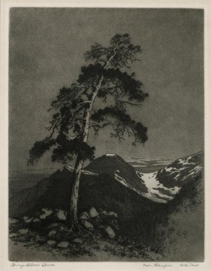 George Elbert Burr, "Mt. Chapin, Estes Park, Colorado", etching, c. 1920