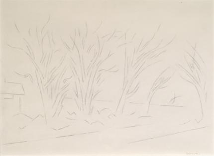 Andrew Michael Dasburg, "Untitled (Trees Along Chantet Lane)", graphite on paper, 1971