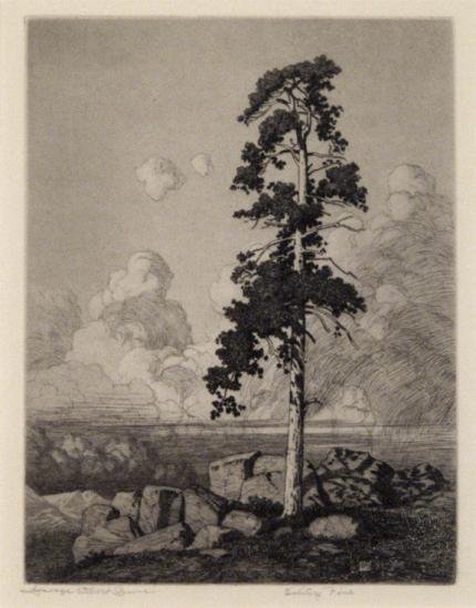 George Elbert Burr, "Solitary Pine", etching, c. 1916 painting for sale