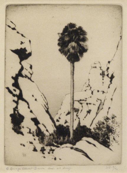 George Elbert Burr, "Palm Canyon, California; 9/40", etching, c. 1921
