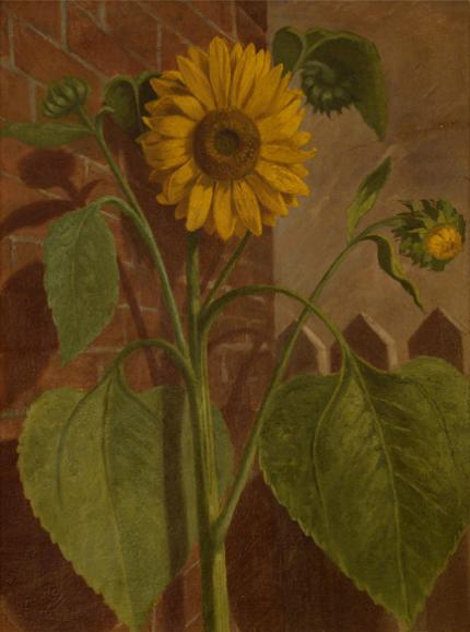 Leslie James Skelton, "Untitled (Still Life with Sunflower)", oil, 1883