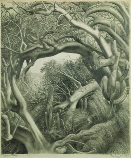 Ross Eugene Braught, "Tropical Shore (Marina Cay, British Virgin Islands)", graphite on paper, 1947