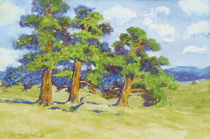 Charles Partridge Adams, "Estes Park Pines - Estes Park, Colo.", mixed media, c. 1915 painting for sale