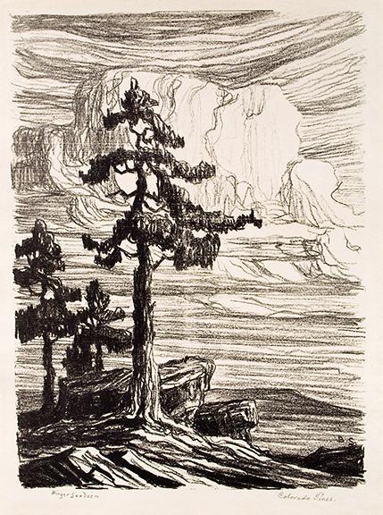 sandzén, Sven Birger Sandzen, "Colorado Pines, edition of 50", lithograph, 1916