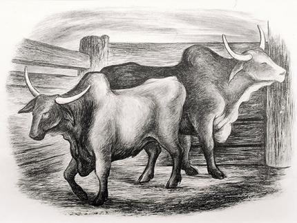 Ethel Magafan, "Untitled (Steer)", lithograph, c. 1938